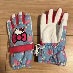 スキーグローブ100