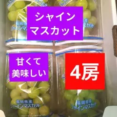 家庭用シャインマスカット1072g朝採り種無し送料チルド込み 家庭用シャインマスカット1072g朝採り種無し送料チルド込み - メルカリ