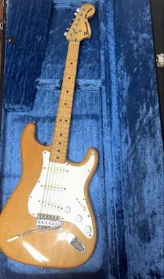 2026年最新】fernandes ハードケースの人気アイテム - メルカリ