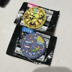 Disney ディズニー 刺繍缶バッジ 缶バッジ ピーターパン ティンカーベル