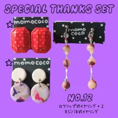 【SPECIAL THANKS SET No.12】 イヤリング