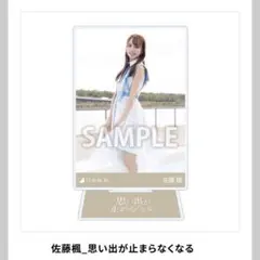 Item thumbnail for item 6a20105d-7938-4964-9b1a-201aa309ce29