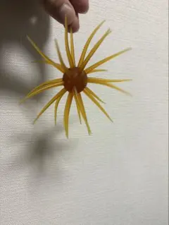 コイケフルキャストのサムネイル