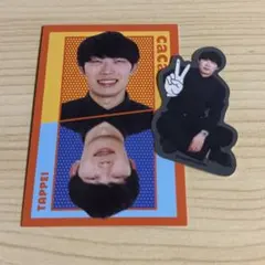 cacao たっぺい 高橋 浦田スターク アクスタ ステッカー 単独 トレカ cacao たっぺい 高橋 浦田スターク アクスタ ステッカー 単独 シール