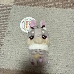 2026年最新】コルヌレプスぬいぐるみの人気アイテム - メルカリ