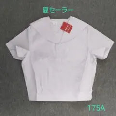 Item thumbnail for item 8d63a1a3-f357-414c-affe-87f378b04be2