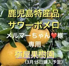 （鹿児島特産品）メルマーちゃん❤️様専用サワーポメロ　箱満杯詰　いちき串木野市産