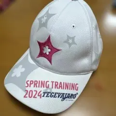 テゲバジャーロ宮崎 キャップ