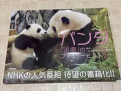 アドベンチャーワールド 彩浜バスタオル ★新品・未開封 2025年最新】アドベンチャーワールド彩浜の人気アイテム - メルカリ