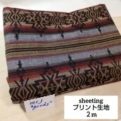 オルテガ　ダンガリー調ブラック　ボーダー ネイティブ柄　綿 プリント生地2m