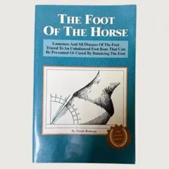 Item thumbnail for item 460b0f0a-ec41-4527-9bb8-a8d9f03cdddb