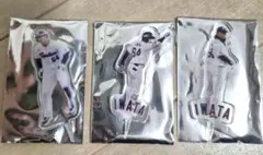 ヤクルトスワローズ　64 岩田幸宏　ミニピック