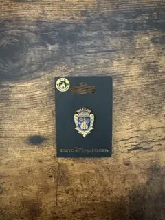 Item thumbnail for item 099c567d-e3ec-40f0-bb96-2d5eb97ba8d1