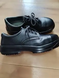 Item thumbnail for item 0cb91f6b-a1ff-400d-9798-9689d024fe53