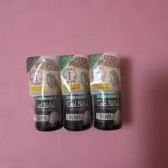 Gel NAIL カラージェル ラメ入り SILVER 3本セット