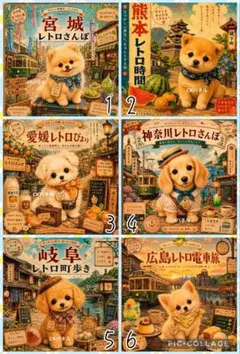 激レアポメラニアン、柴犬、マルチーズ、ダックス、トイプー、チワワ