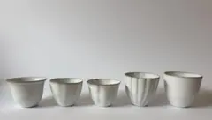 安藤雅信 初期作品【大】 安藤雅信作品｜片口シリーズ