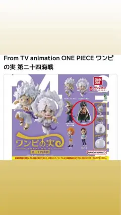 ワンピの実 第二十四海戦 アラマキ