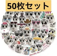 Item thumbnail for item 1f7e2ca3-199b-4cb8-b0b6-5bfb8c94e9db