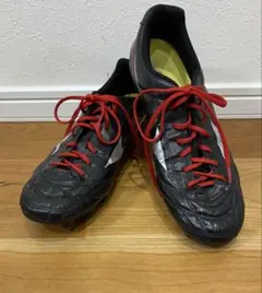 モナルシーダ 27