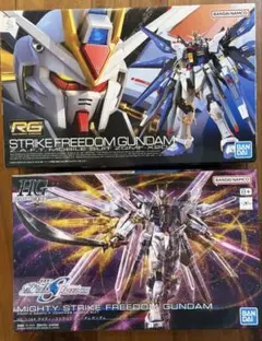 RG ストライクフリーダム＆HG マイティストライクフリーダム　未組み立て