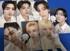 ENHYPEN YIZHIYU 7枚セット