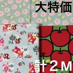 大特価❤️生地いろいろ　計２M キュートな可愛い柄♪
