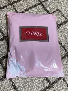 CHARLE　FC101 ボディスーツ D90LL ブラウン CHARLE FC101 ボディスーツ D90LL ブラウン CHARLE FC101 ボディ