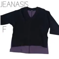 JEANASIS ジーナシス 黒　紫　ニット　トレーナー F　ゆったり　Vネック