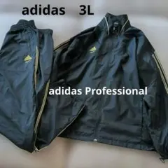 Item thumbnail for item abeb1a66-f077-4310-b93a-b143241c5023