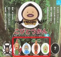 4種　こびとづかん　おすわりマスコット5　ガチャ