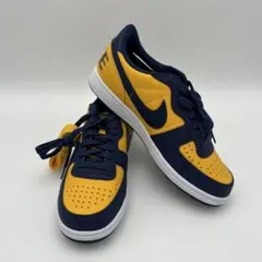 NIKE ターミネーターLOW OG ミシガン 26cm 新品 ナイキ