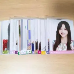 乃木坂46 井上和 生写真 まとめ売り セット売り