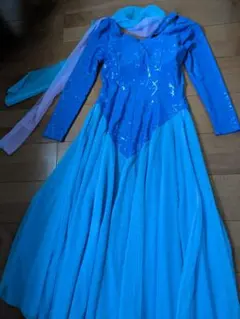 2026年最新】イン・ザ・ムード 社交ダンスの人気アイテム - メルカリ