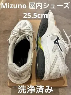 MIZUNO 25.5cmノンマーキングシューズのサムネイル