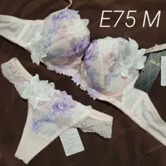 Wacoal　ワコール　Salute　サルート　30G　花柄刺繍　セット