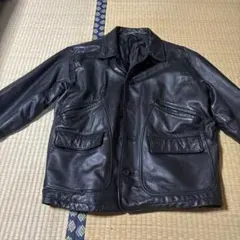 Item thumbnail for item e48d04a2-0b18-4b3b-915c-4cb11dbca7a4