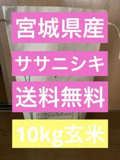 宮城県産ササニシキ 令和7年10kg玄米　送料込みのサムネイル
