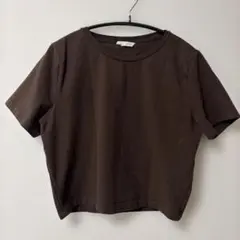 ZARA ザラ　ショートスリーブクロップドTシャツ