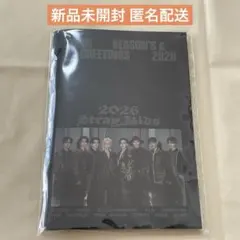 【即購入可】FORCE 日本 シーグリ 2026 ミニフォトブック