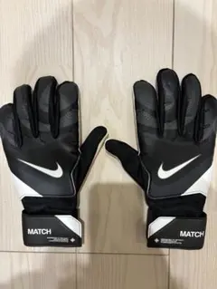 Item thumbnail for item 90715cfb-7709-426c-8d51-1091bd7e1d02