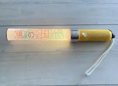 2025年最新】乃木坂 ペンライト 真夏の全国ツアーの人気アイテム