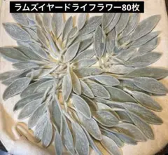 lemon様 リクエスト 2点 まとめ商品