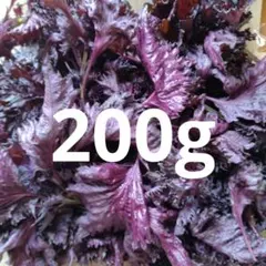 赤しそ　赤紫蘇　200g. 222のサムネイル