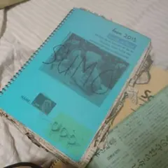 Item thumbnail for item 6ef0fff4-549c-4721-a326-2ae29105572a