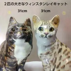 2026年最新】ウィンスタンレイ キャットの人気アイテム - メルカリ