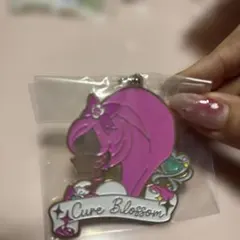 プリキュア一番くじ キーホルダー