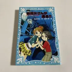 Item thumbnail for item e81f18a4-7282-45da-8bb1-94c4a81985f0