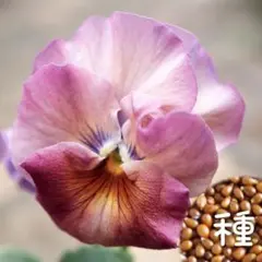 ＊yu＊様 リクエスト 3点 まとめ商品