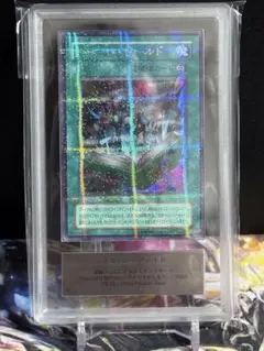 遊戯王 王家の眠る谷ネクロバレー ウルトラパラレル ARS9 - メルカリ